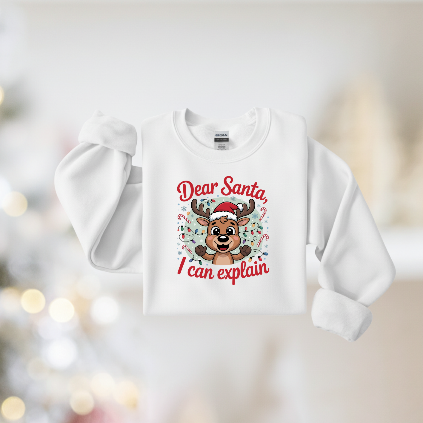 Dear Santa I Can Explain