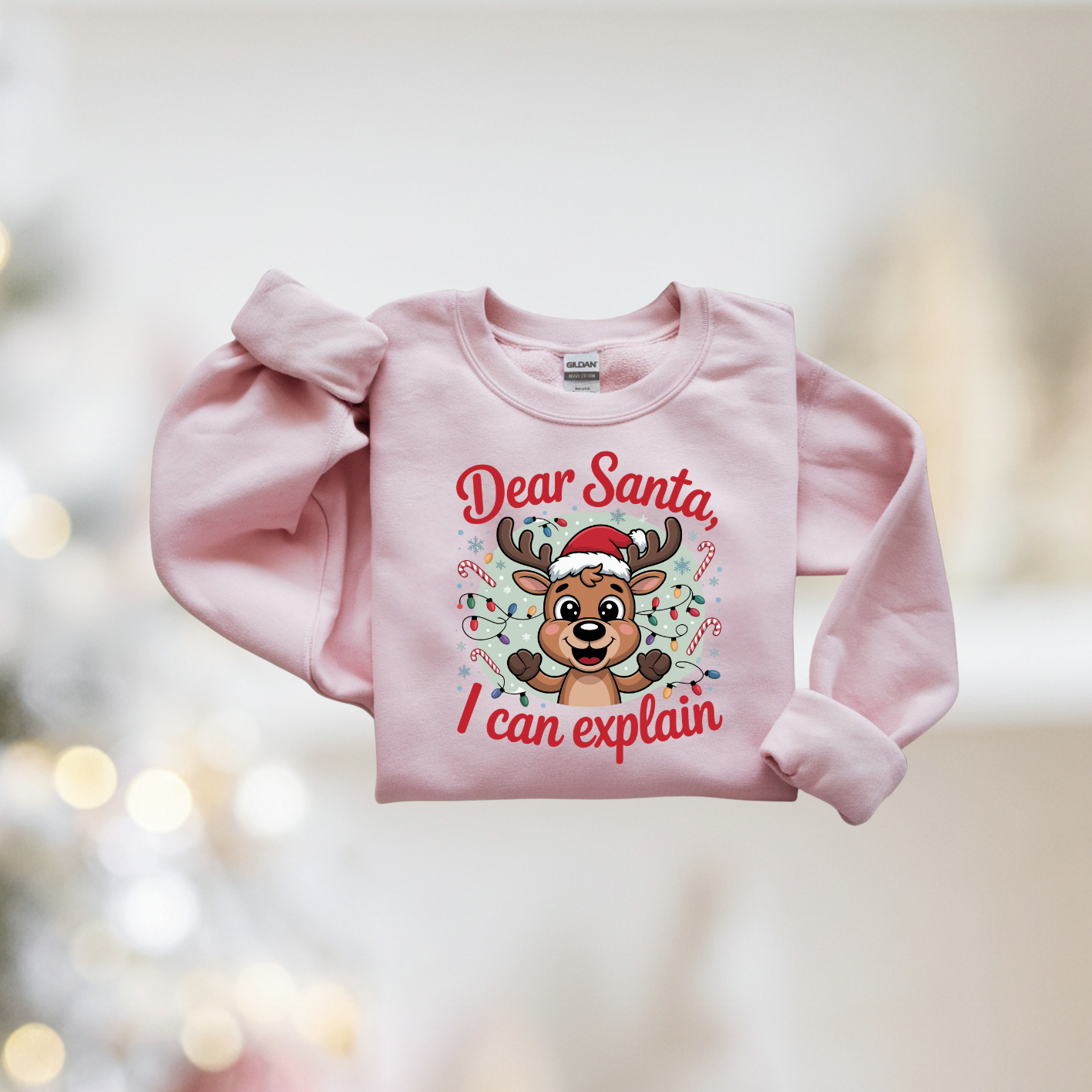 Dear Santa I Can Explain