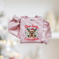 Dear Santa I Can Explain