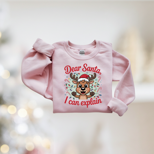 Dear Santa I Can Explain