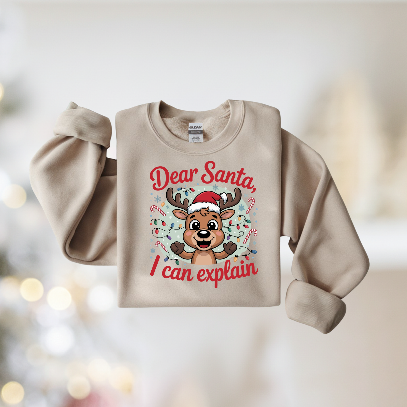 Dear Santa I Can Explain