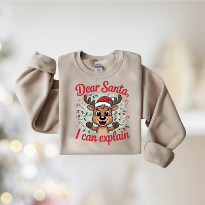 Dear Santa I Can Explain