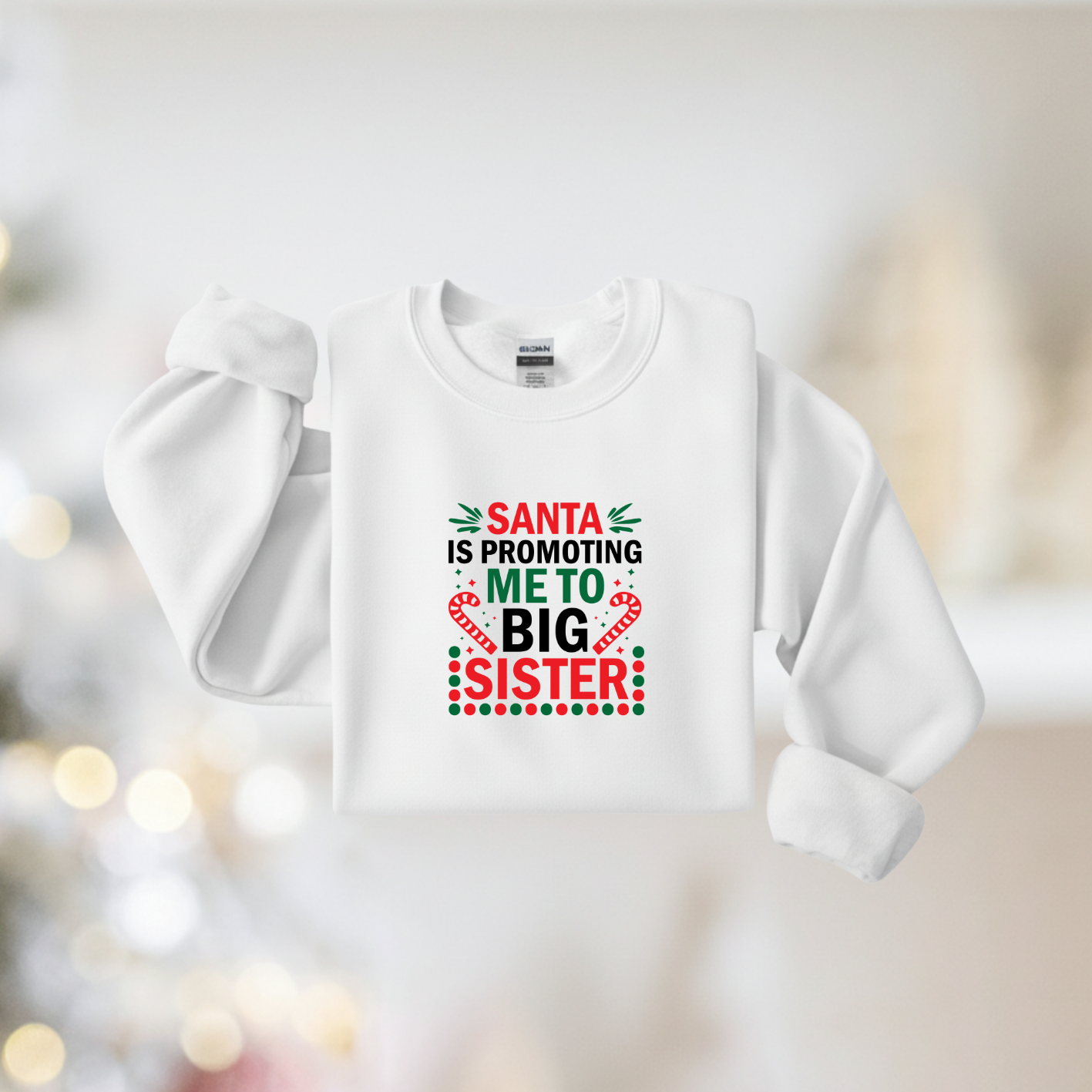 Santa Is Promoting Me To Big Sister